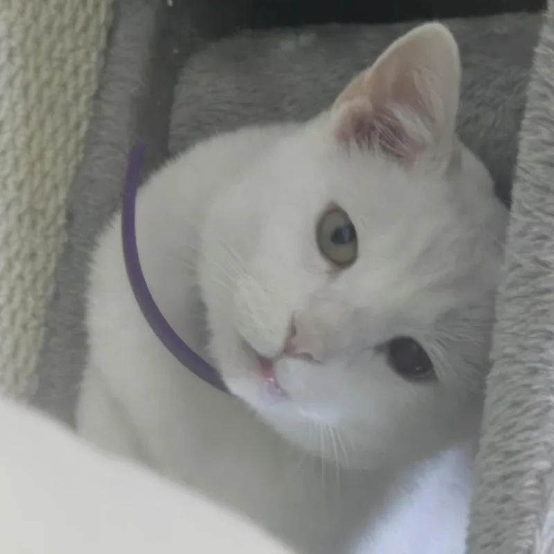 Mash Tato thumbnail 3