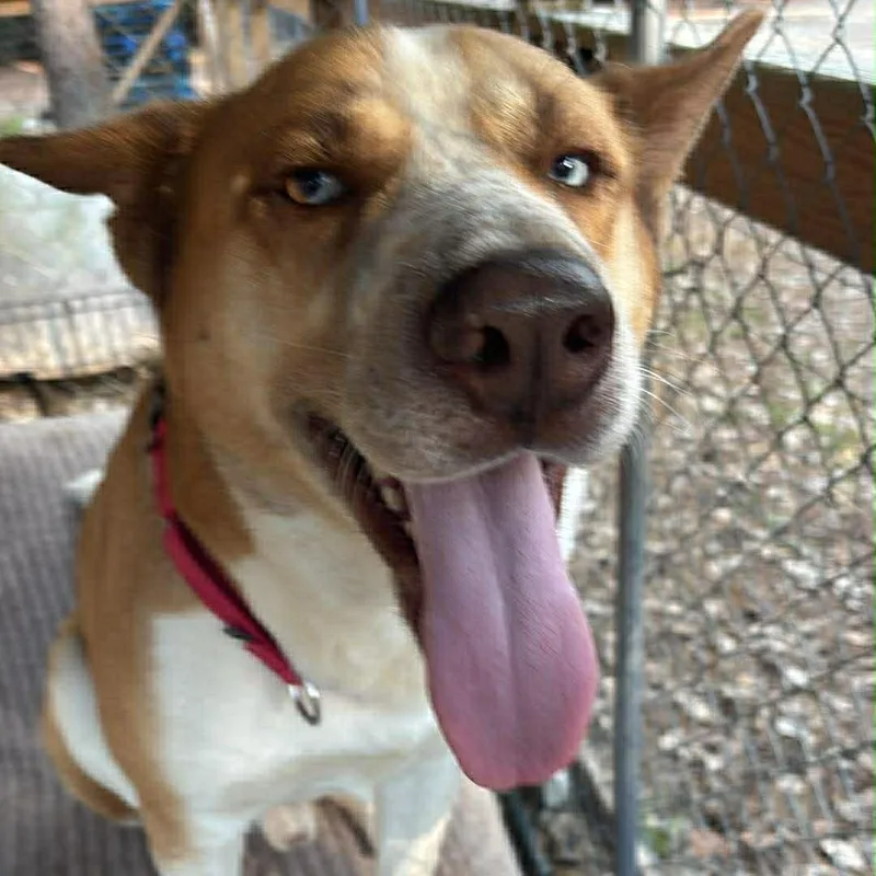 Maverick thumbnail 2