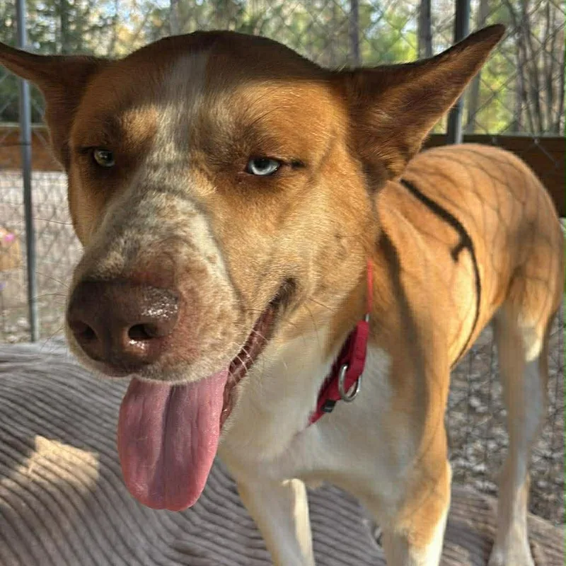 Maverick thumbnail 4