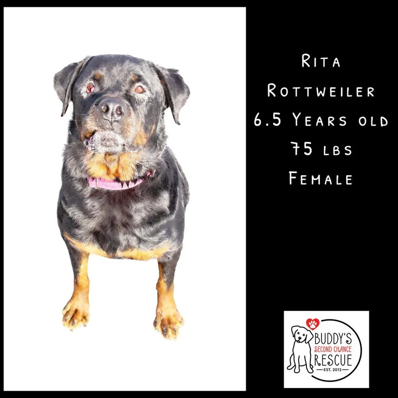 Rita thumbnail 3