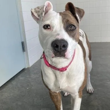 Precious thumbnail 3