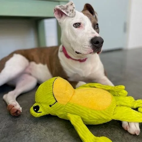 Precious thumbnail 6