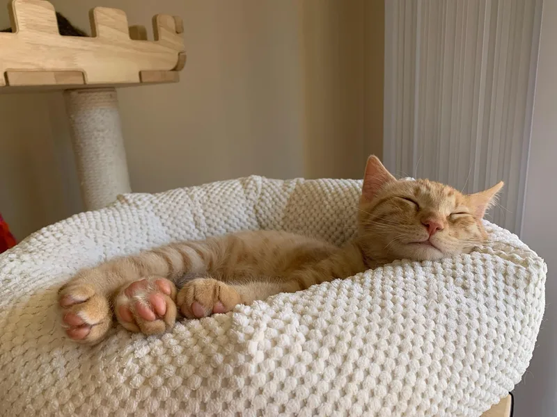 Ulrich And Vincent thumbnail 2