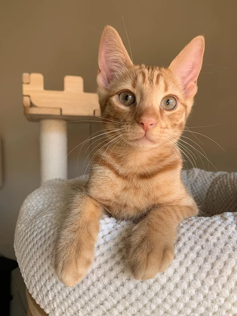 Ulrich And Vincent thumbnail 5