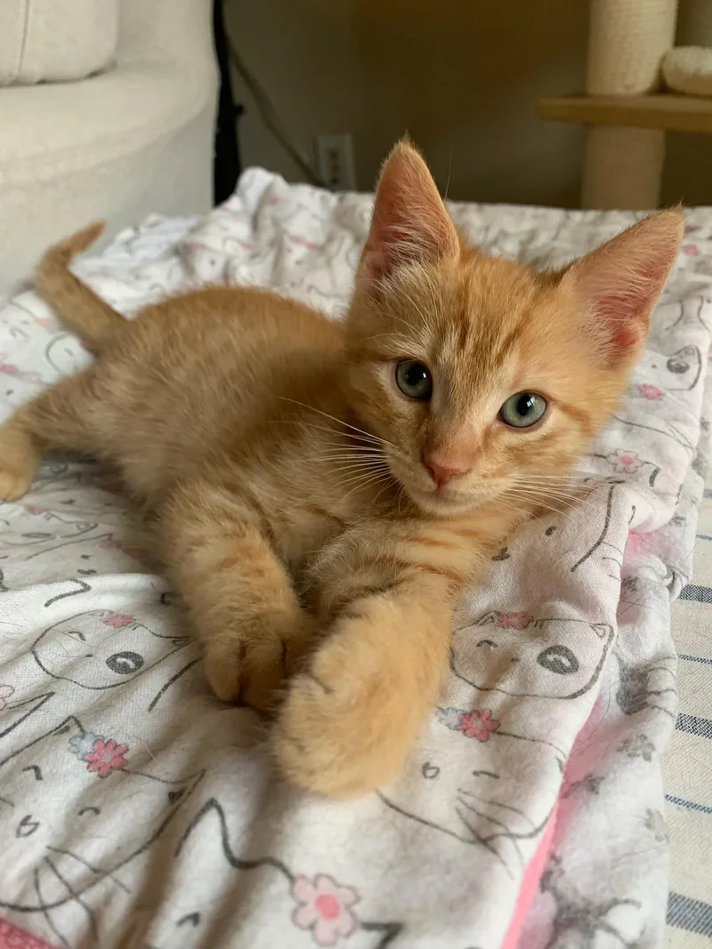 Ulrich And Vincent thumbnail 6