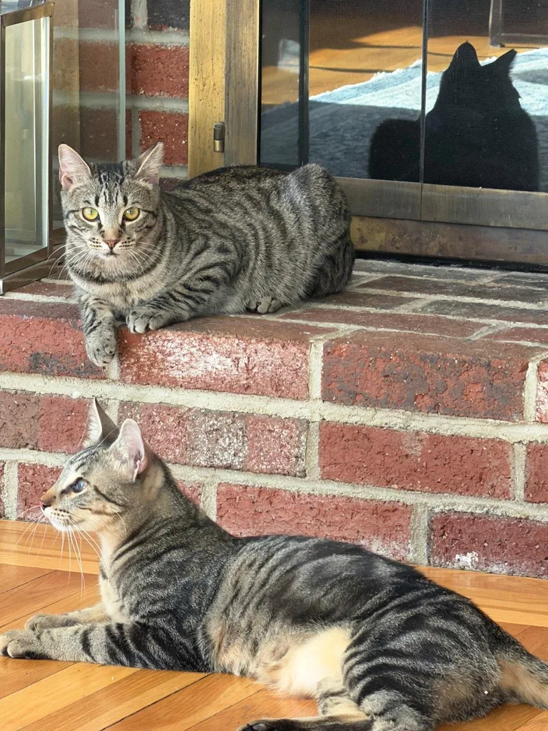 Local Foggy & Elaina thumbnail 2