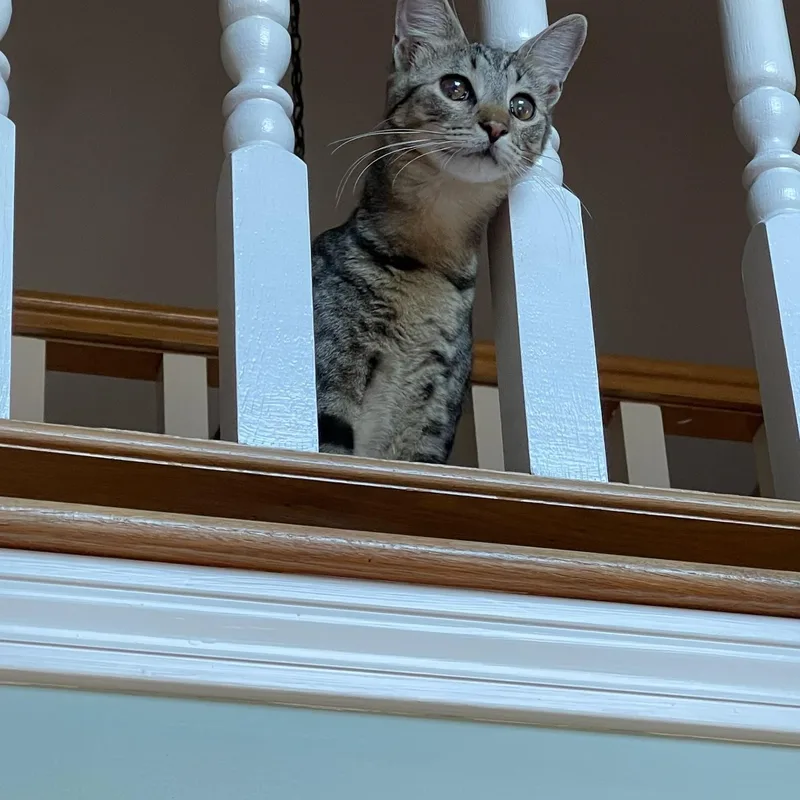 Local Foggy & Elaina thumbnail 6