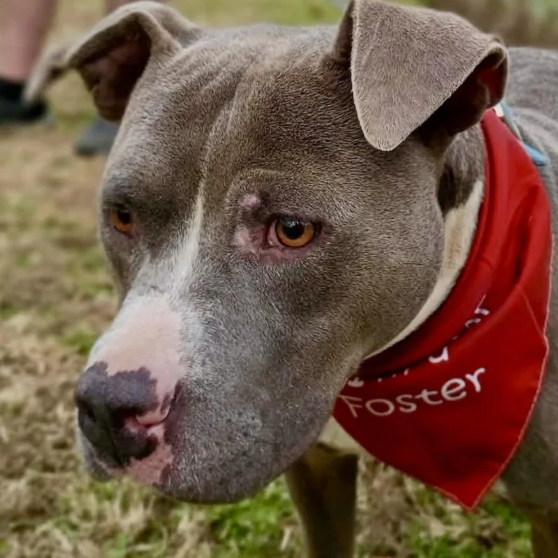 Hank  New Pics! thumbnail 2