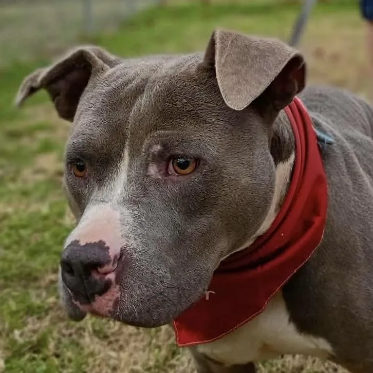 Hank  New Pics! thumbnail 3