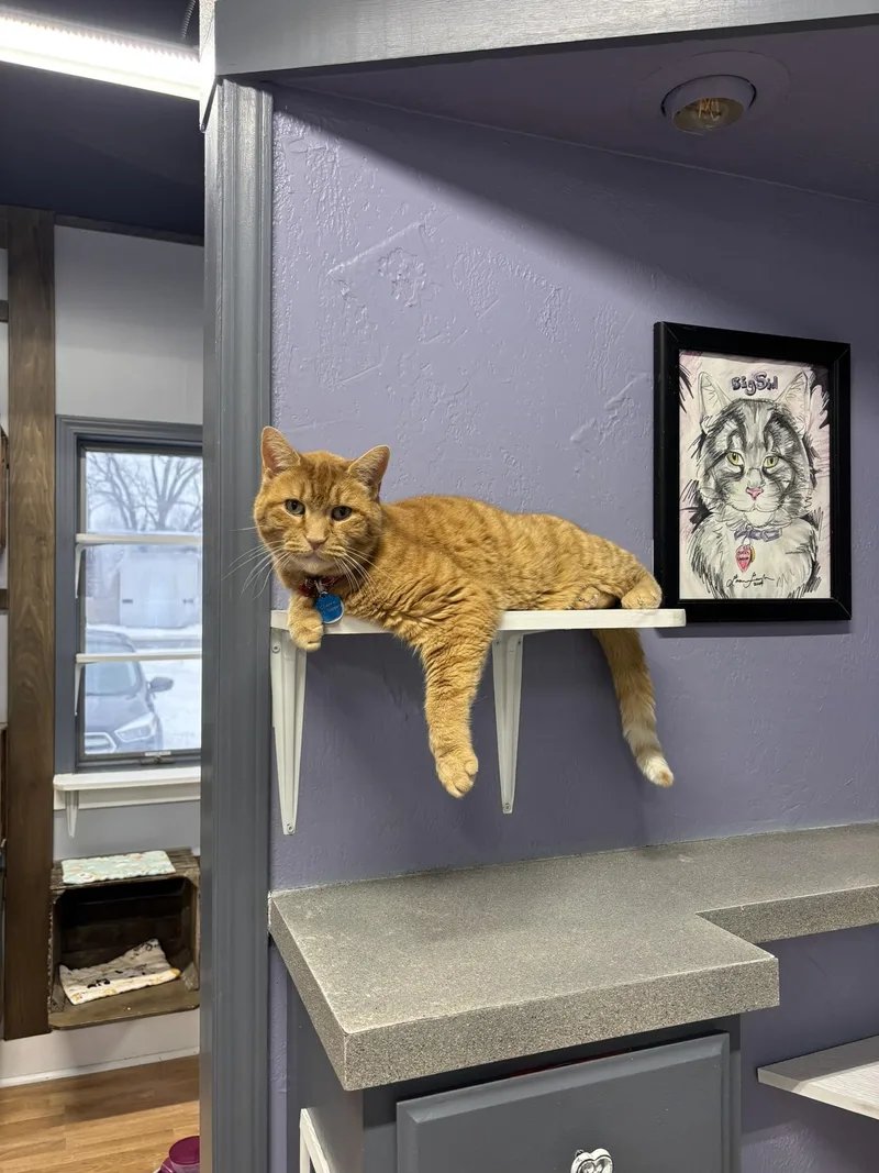 Chance The Slapper thumbnail 2