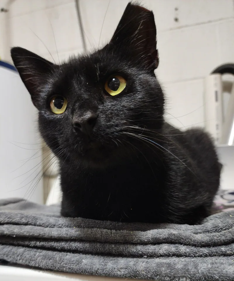 Samuel L Jackson thumbnail 2