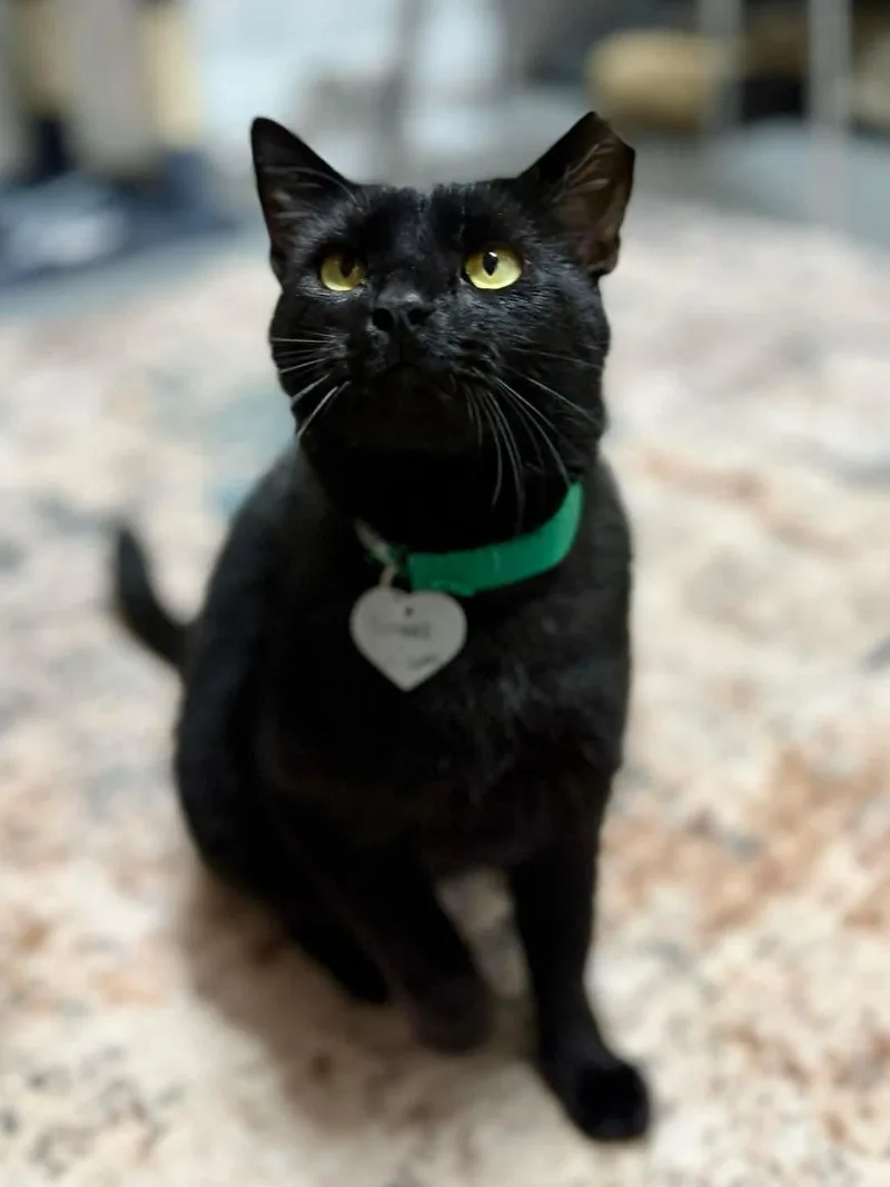 Samuel L Jackson thumbnail 3