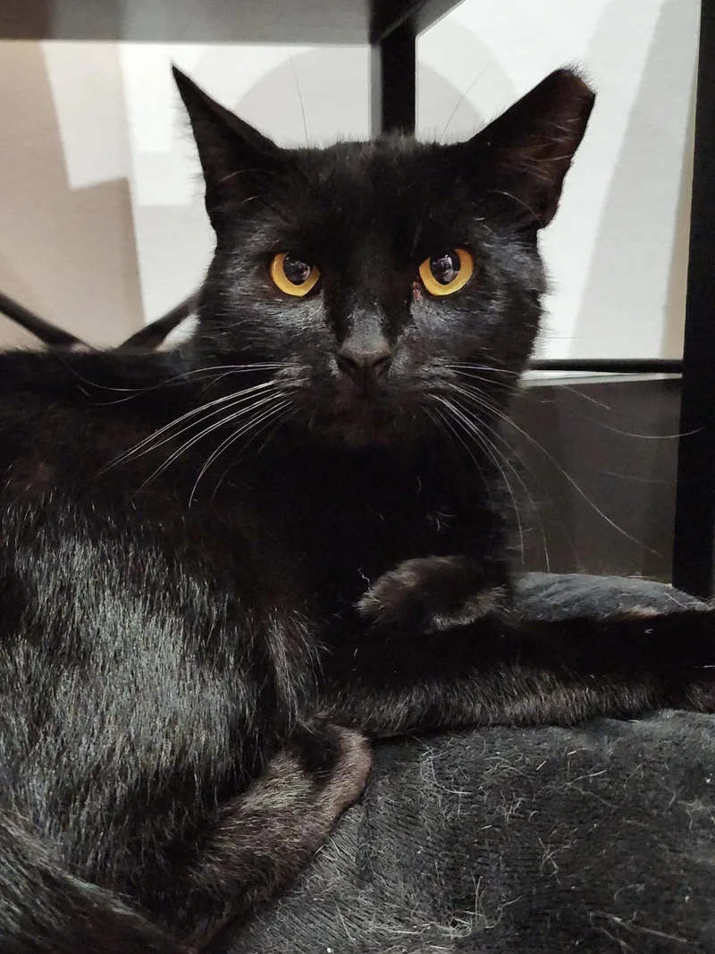 Samuel L Jackson thumbnail 5