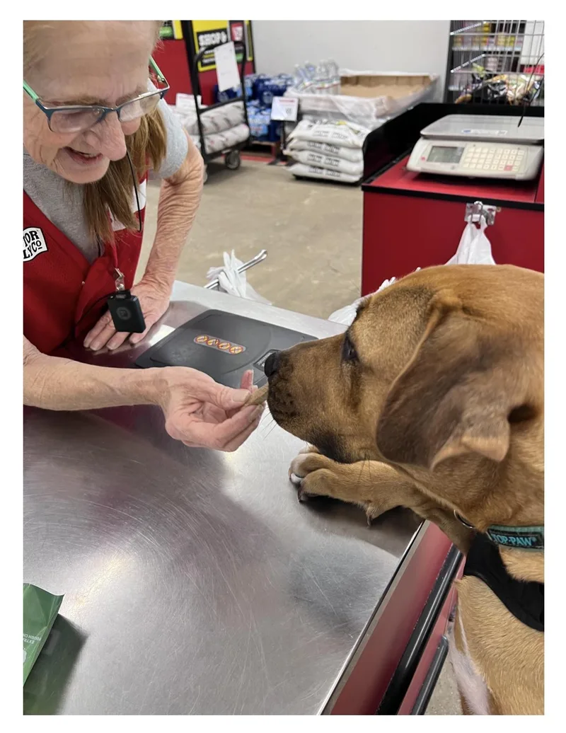 Rocky  Loves To thumbnail 5