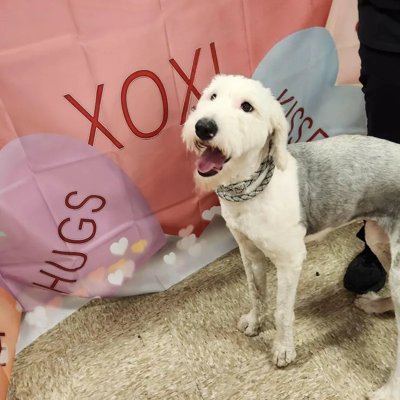 Molly Fj thumbnail 2