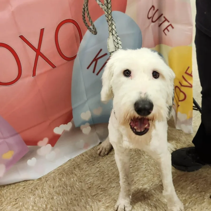 Molly Fj thumbnail 3