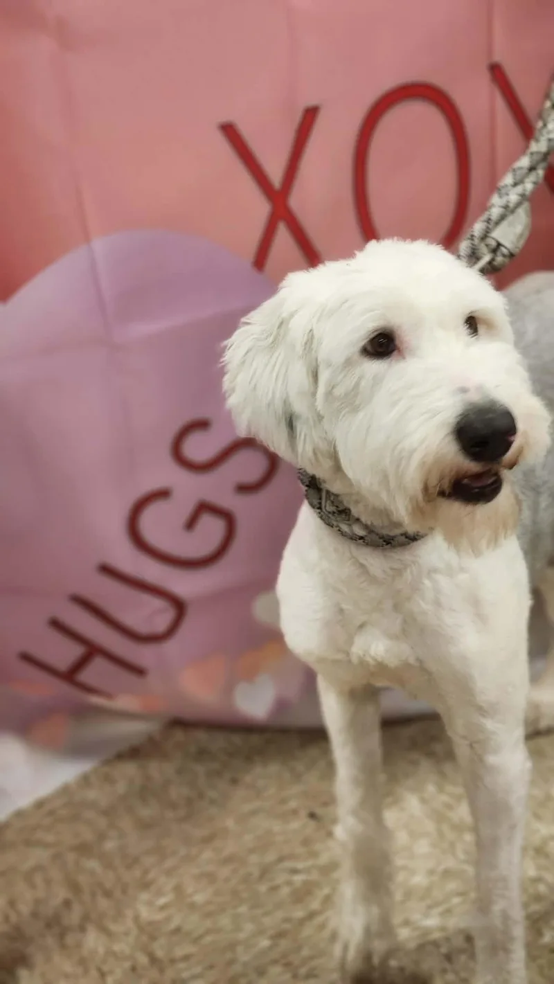 Molly Fj thumbnail 4