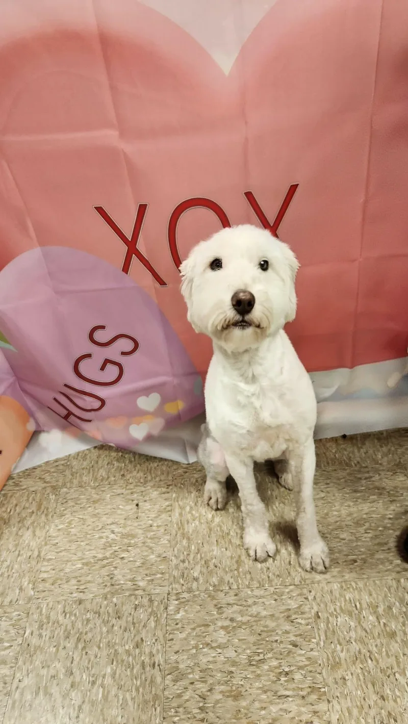 Molly Fj thumbnail 5