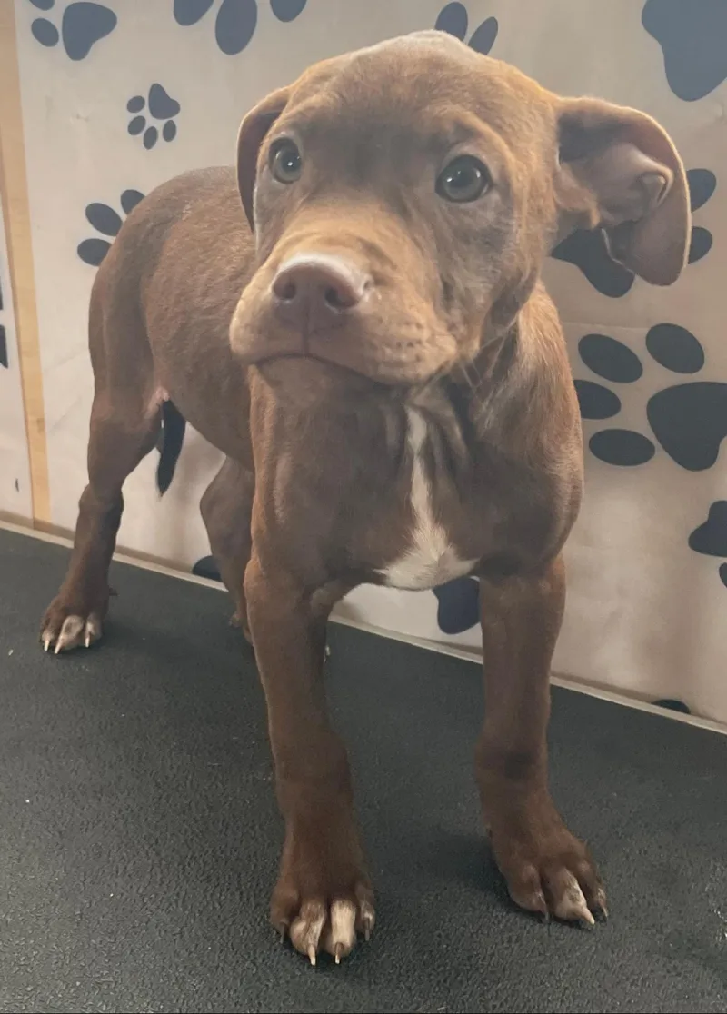 Java Zoom thumbnail 4