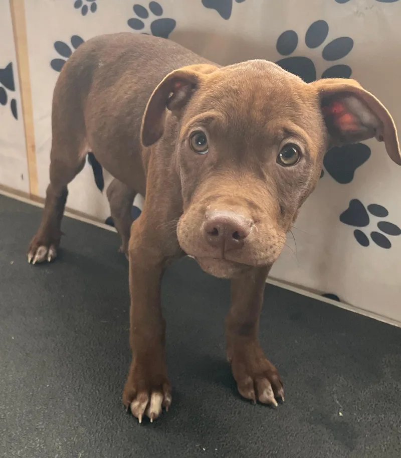 Java Zoom thumbnail 5