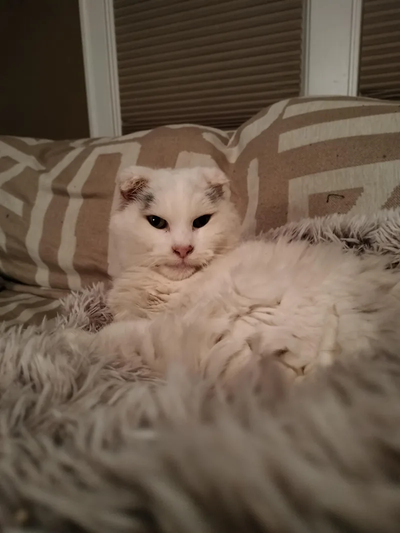 Marilyn Monroe thumbnail 5