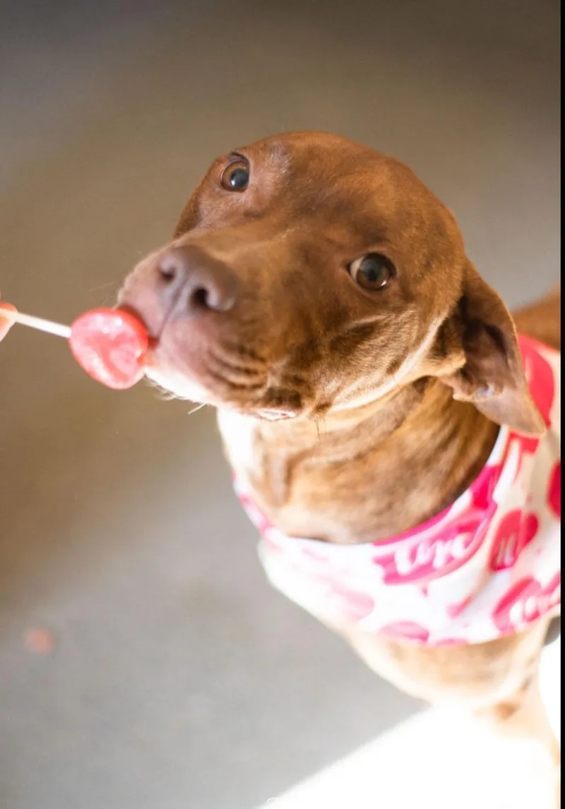 Sweet Nyla thumbnail 3