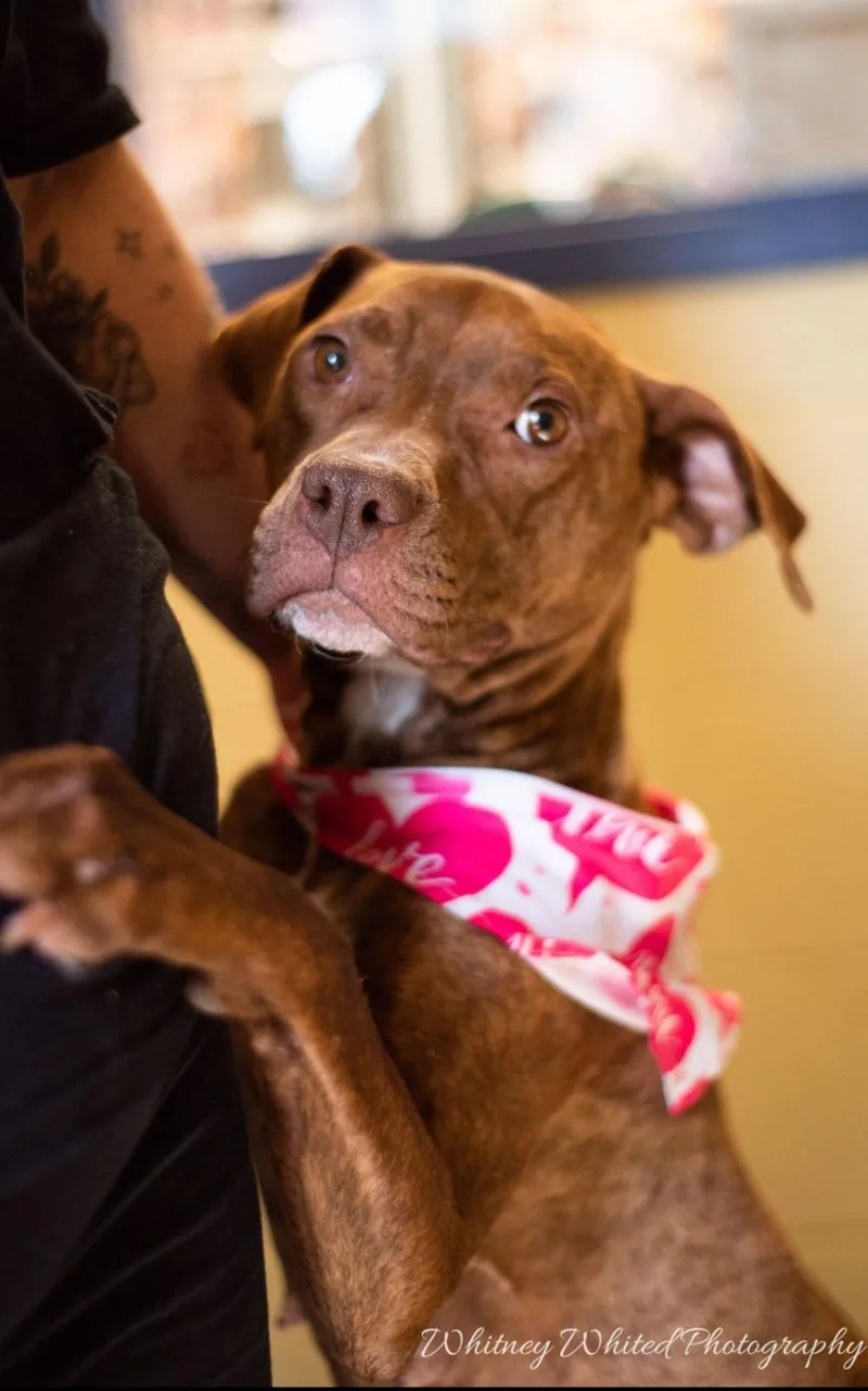 Sweet Nyla thumbnail 5