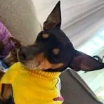 Valentina thumbnail 2