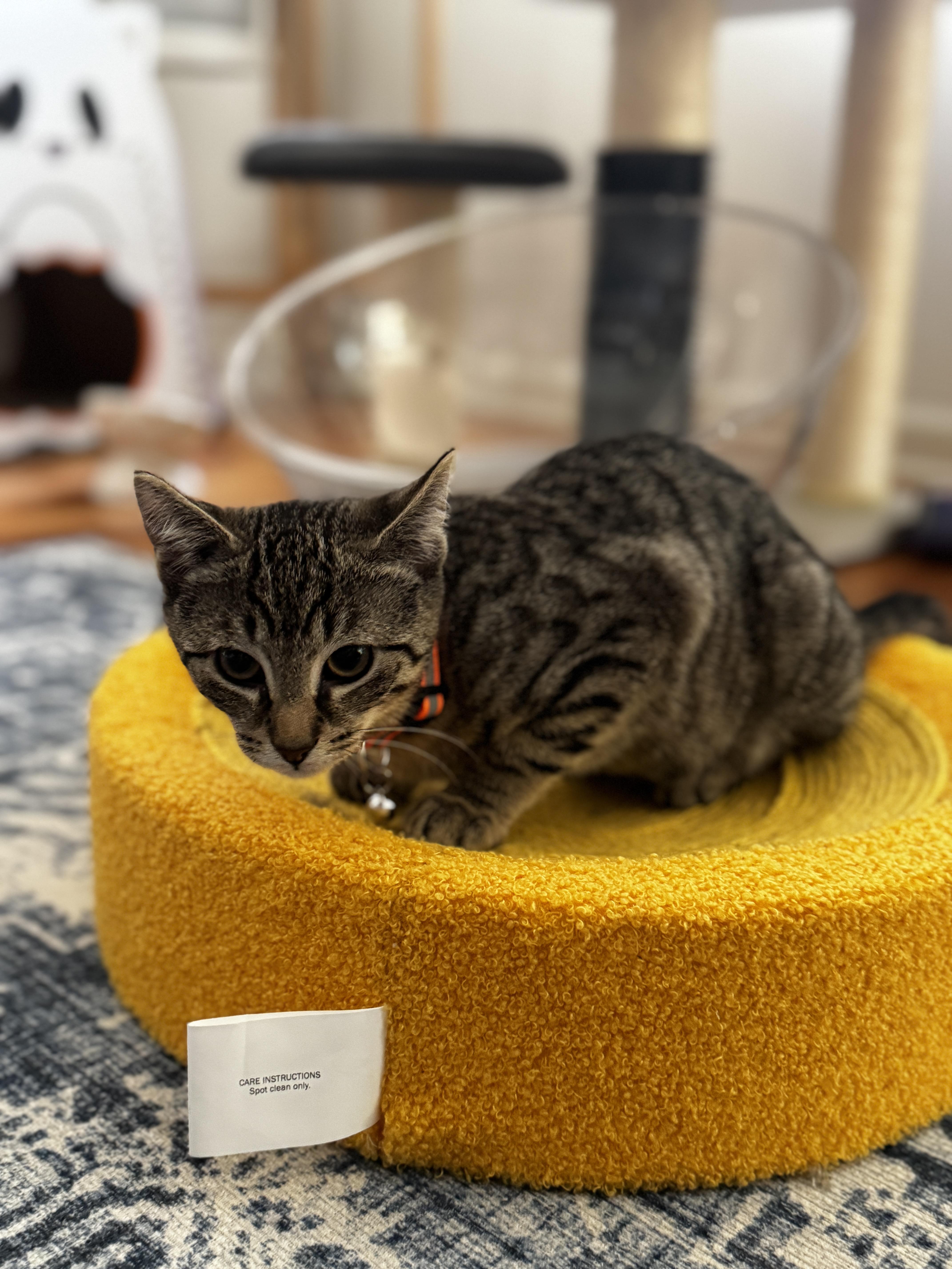 Tiny And Vanjie thumbnail 2