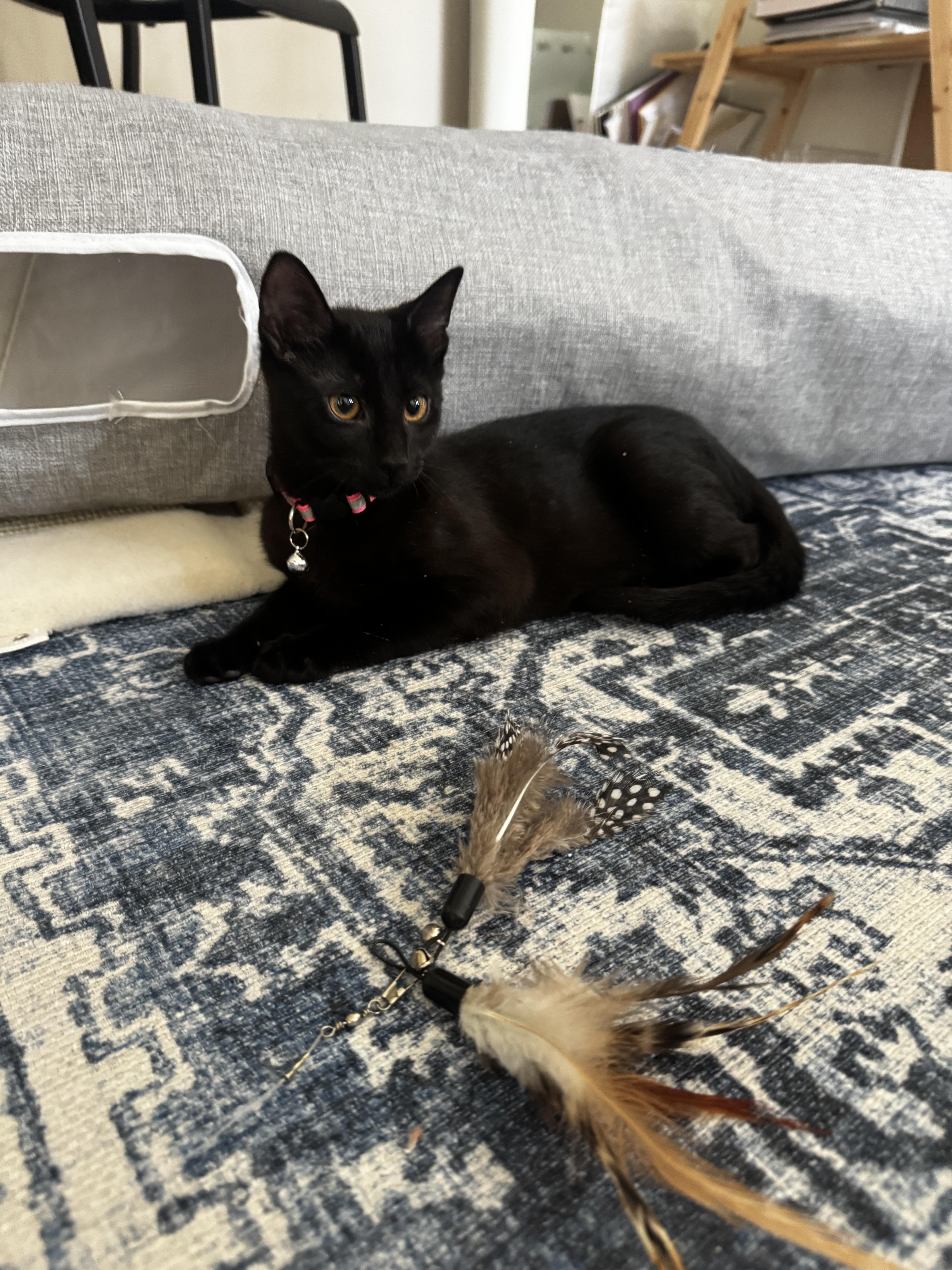 Tiny And Vanjie thumbnail 3