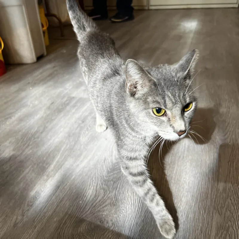 Katarina Neilson thumbnail 2