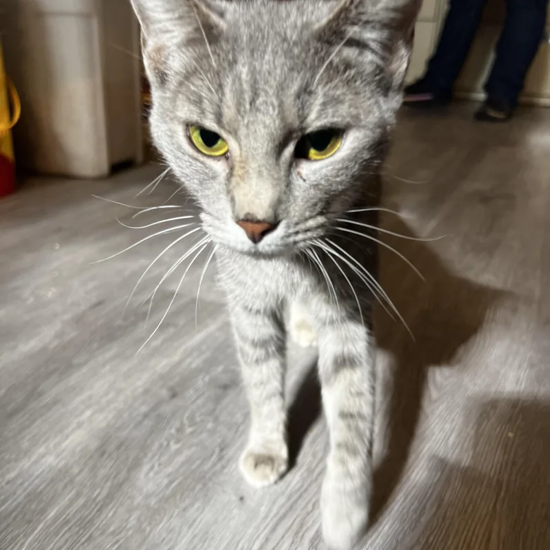 Katarina Neilson thumbnail 5