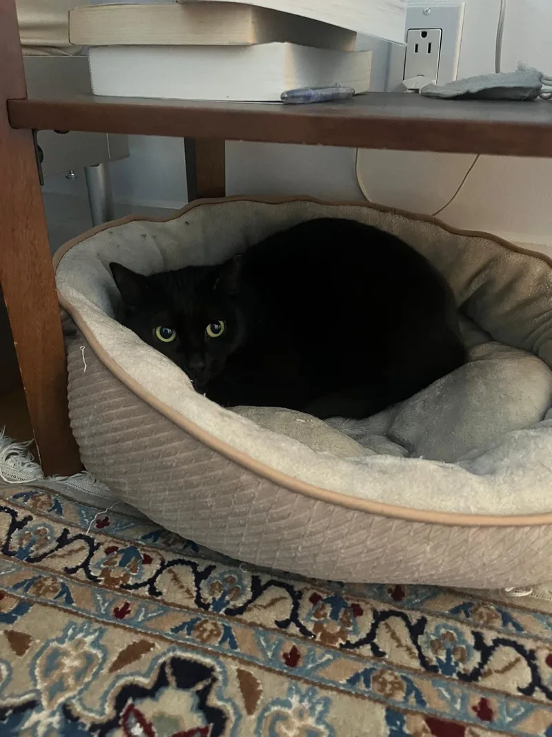 Michaela thumbnail 2