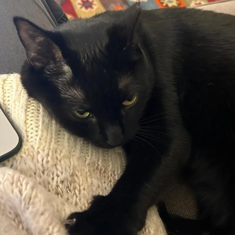 Michaela thumbnail 3