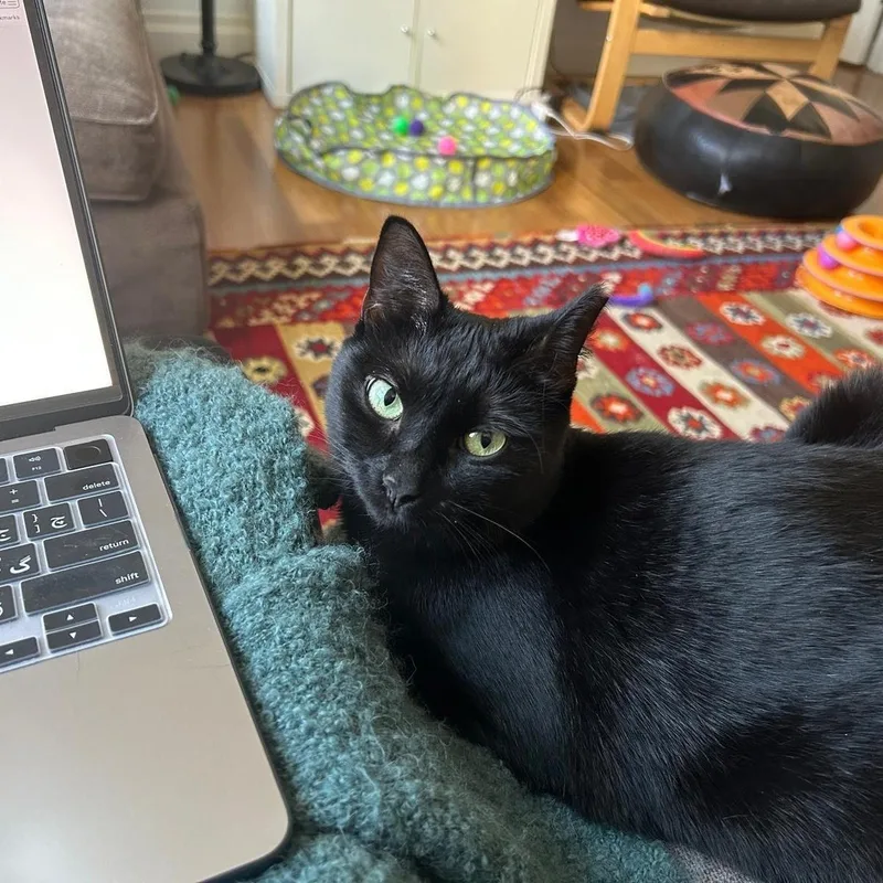 Michaela thumbnail 4