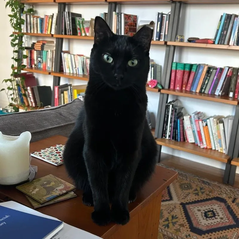 Michaela thumbnail 5