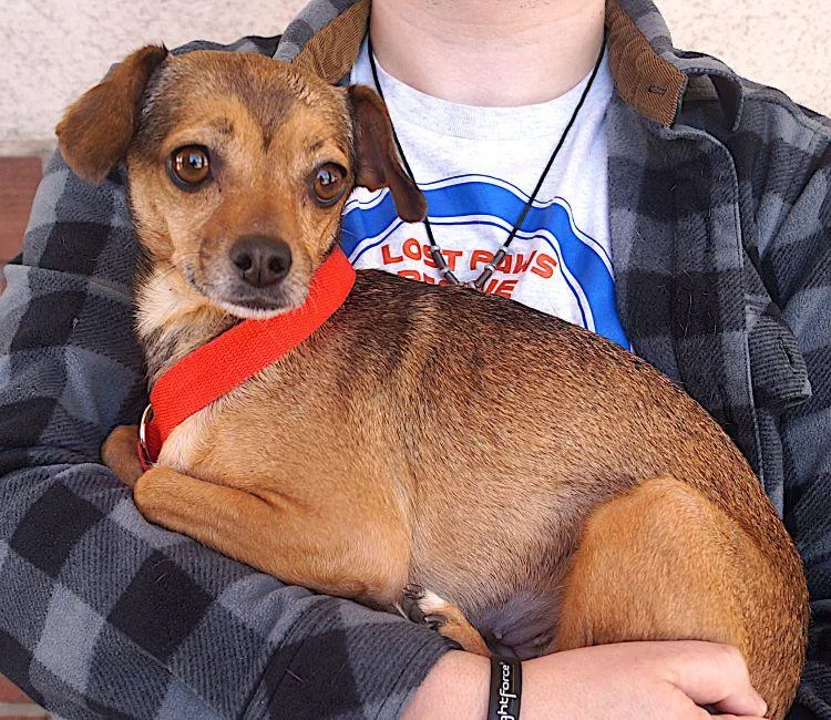 Tina Turner thumbnail 2