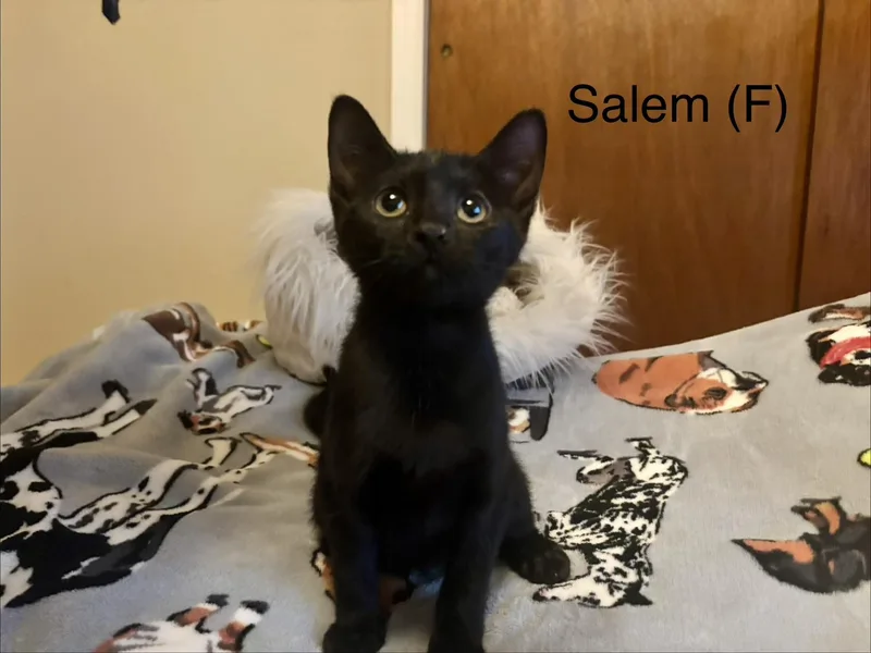Salem
