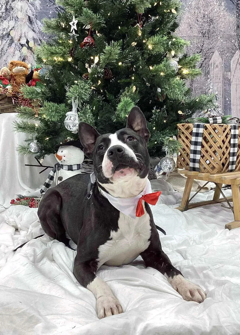 Baby Girl Gloria thumbnail 4