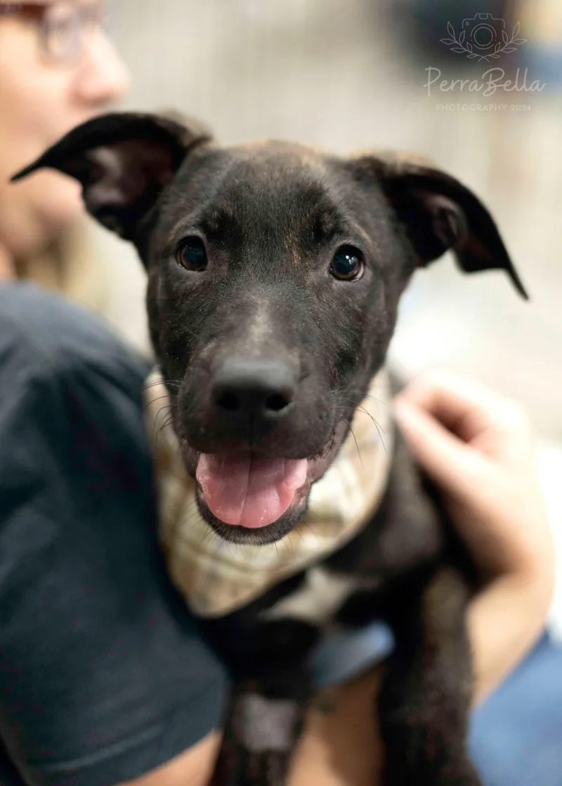 Ocean Spray thumbnail 3