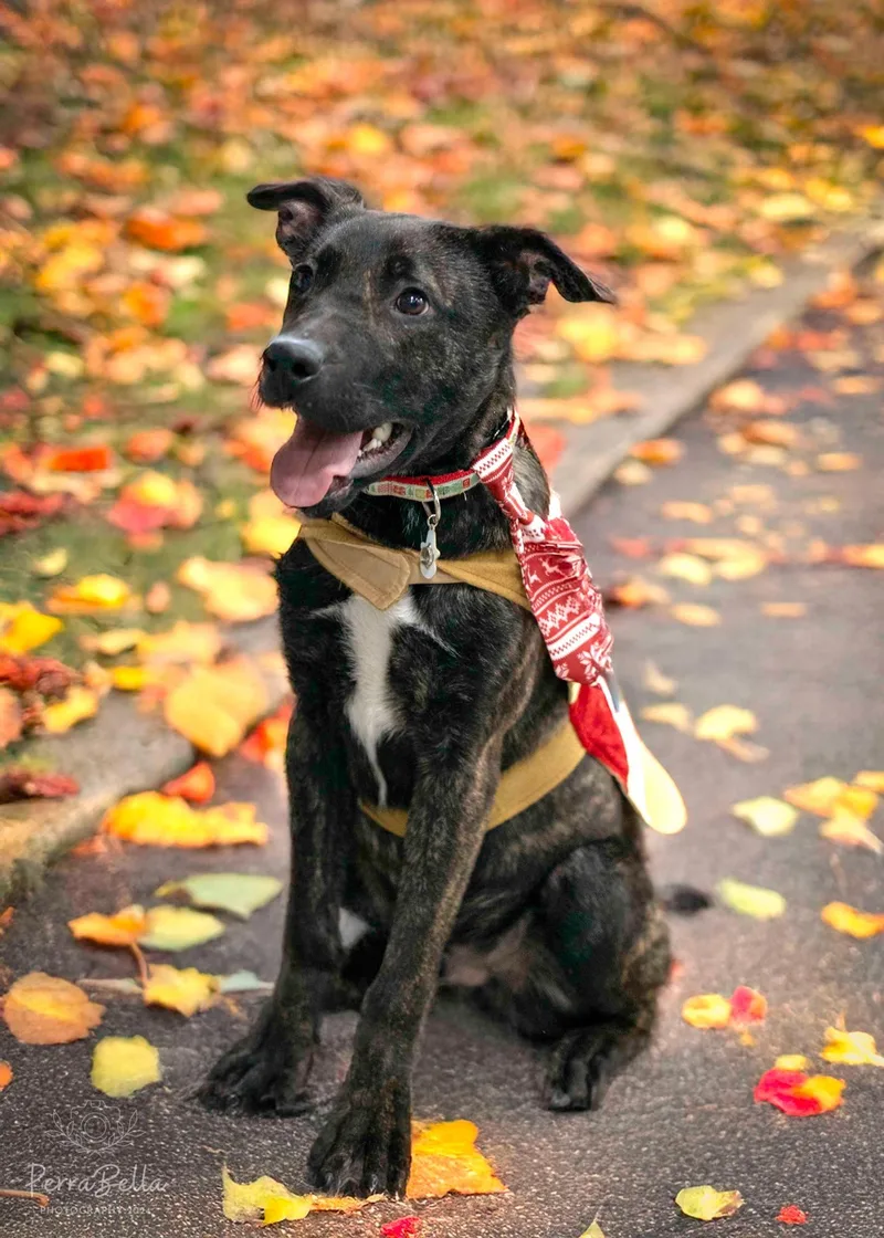 Ocean Spray thumbnail 4