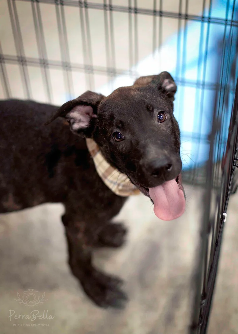 Ocean Spray thumbnail 6