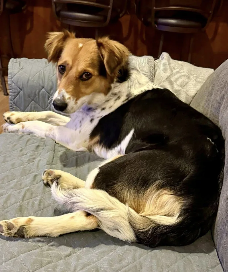 Sagemoor thumbnail 5