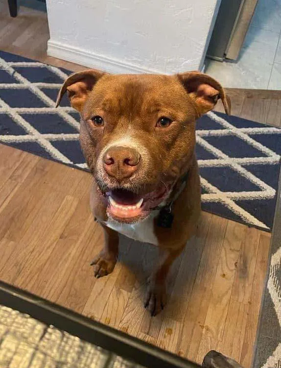 Van Haagar thumbnail 2