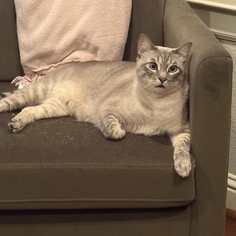 Jerricho Ort thumbnail 2