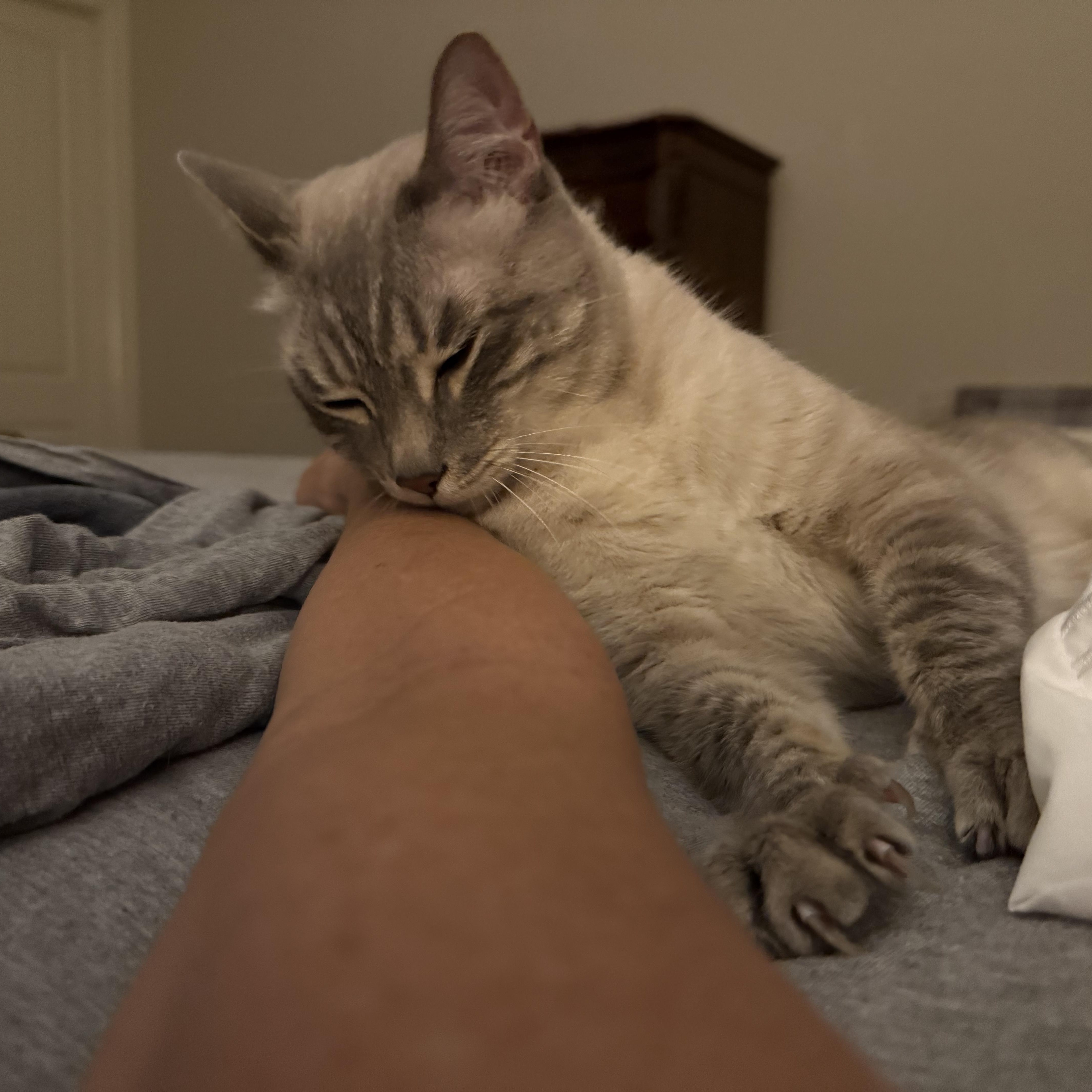 Jerricho Ort thumbnail 3