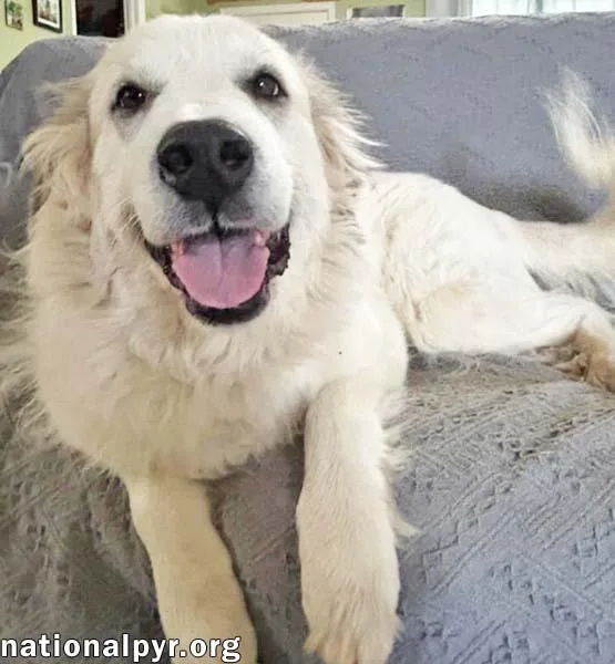 Pretty Girl In Tn thumbnail 2