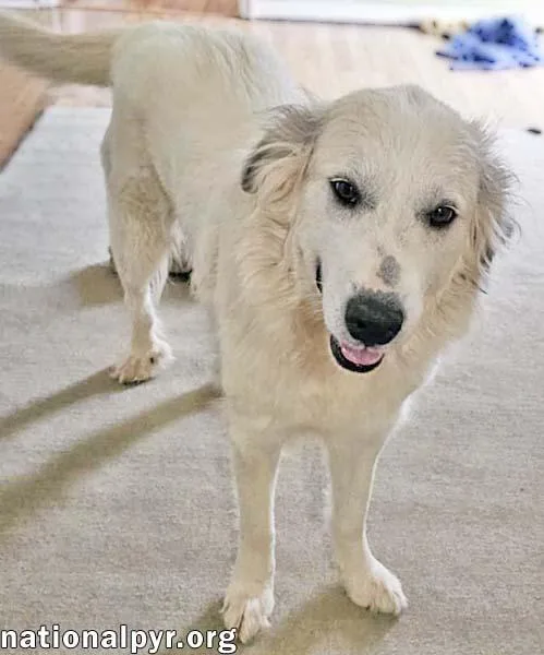 Pretty Girl In Tn thumbnail 3