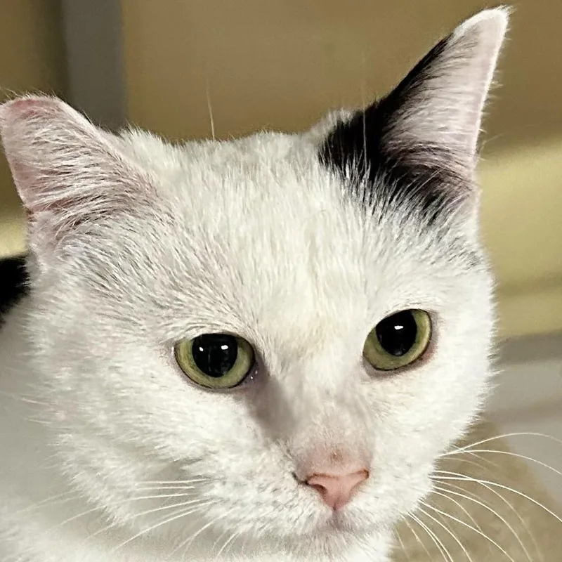 Fiona  Lovely Big thumbnail 2