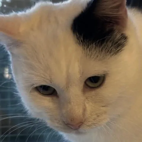 Fiona  Lovely Big thumbnail 3